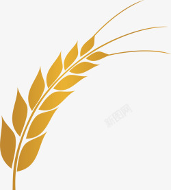 金黄色的食物小麦黄色食物矢量图高清图片
