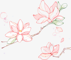 卡通手绘木槿花素材