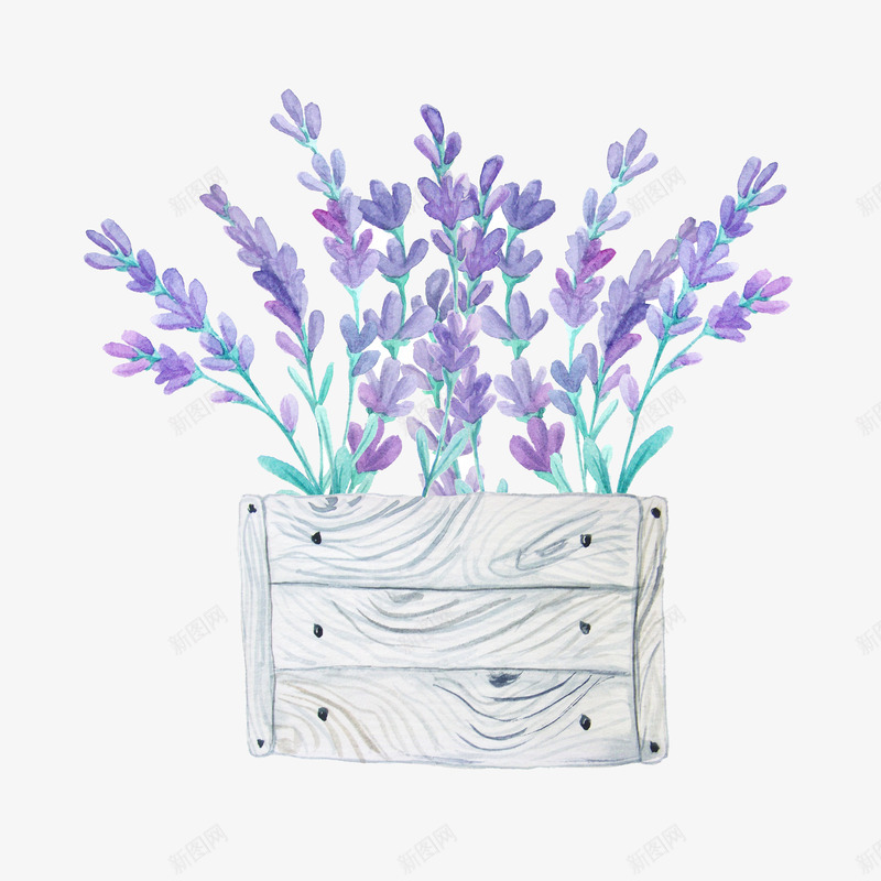唯美薰衣草png免抠素材_88icon https://88icon.com 叶子 木箱子 紫色 花 薰衣草