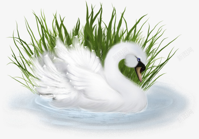 3D白色天鹅草丛图形png免抠素材_88icon https://88icon.com 3D 3D白色天鹅草丛免抠图形 免抠 图形 天鹅 白色 草丛