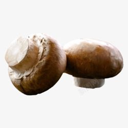 两朵小蘑菇素材