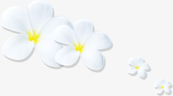 白色可爱小花封面素材