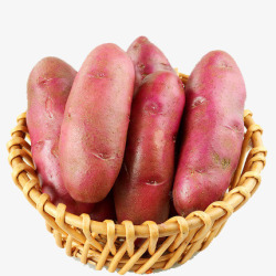农作物土豆一篮子红皮土豆高清图片