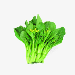 一把新鲜绿色开花的广东菜心蔬菜素材