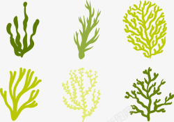 海洋海草植物矢量图素材