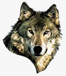 草原露营logo凶猛的狼头高清图片