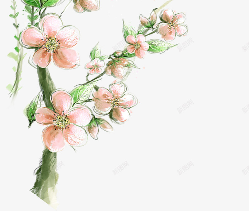 清新花朵植物装饰手绘png免抠素材_88icon https://88icon.com 植物 清新 花朵 装饰