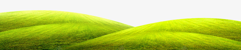 草原植物唯美模板png免抠素材_88icon https://88icon.com 免扣素材模板 唯美 植物 高清