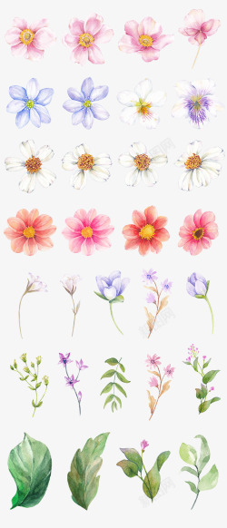 植物花朵小清新涂鸦素材