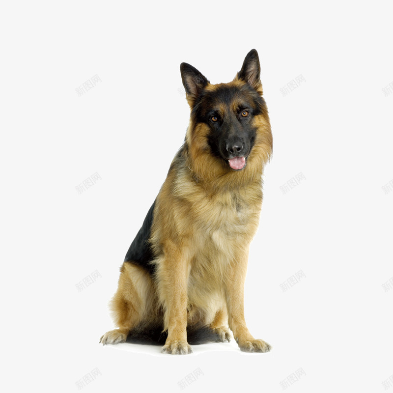 警犬造型图形png免抠素材_88icon https://88icon.com 军犬 动物 图形 忠犬 警犬 造型