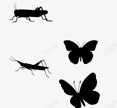 黑色背景黑色的昆虫图标图标