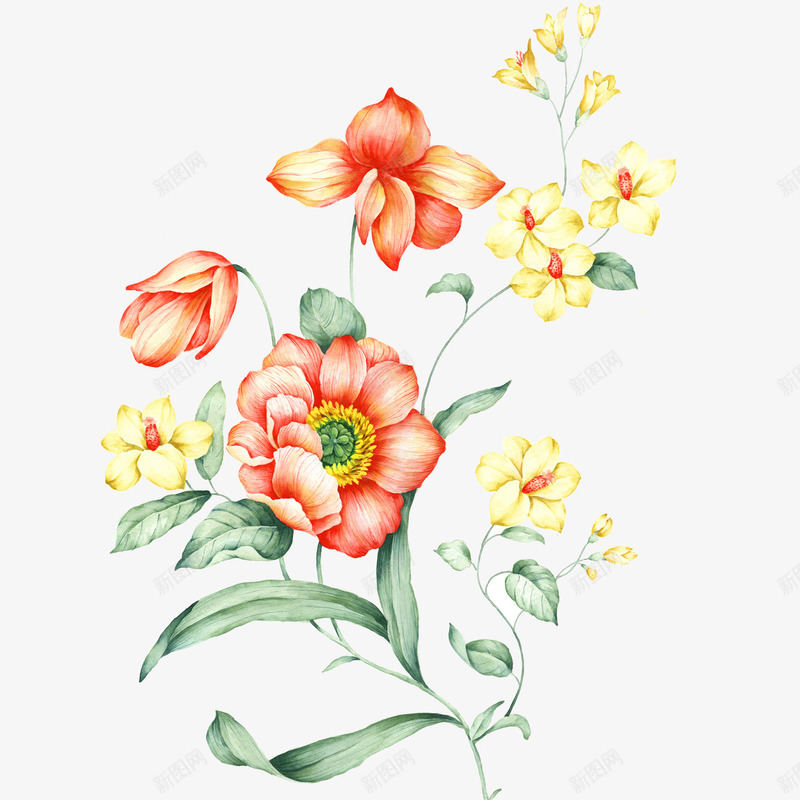 中国风手绘花卉png免抠素材_88icon https://88icon.com PNG图形 PNG装饰 手绘 植物 花朵 装饰