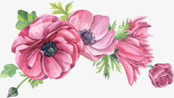 手绘粉色小清新花朵边框素材