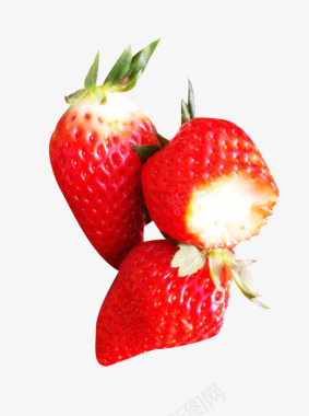 草莓采摘现吃图标图标