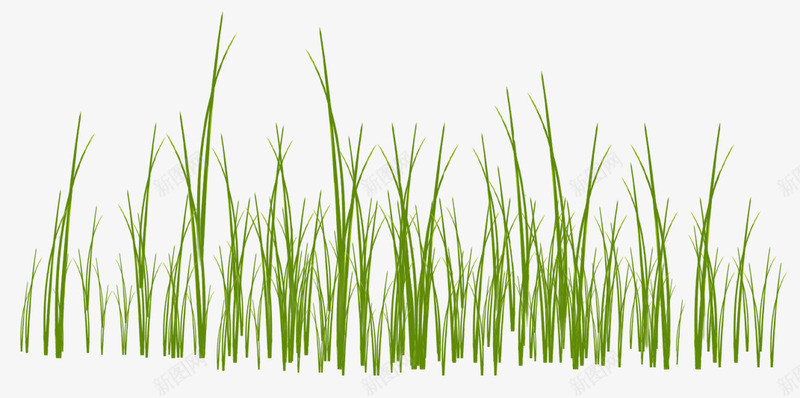 路边植物唯美模板png免抠素材_88icon https://88icon.com 免扣素材模板 唯美 植物 高清