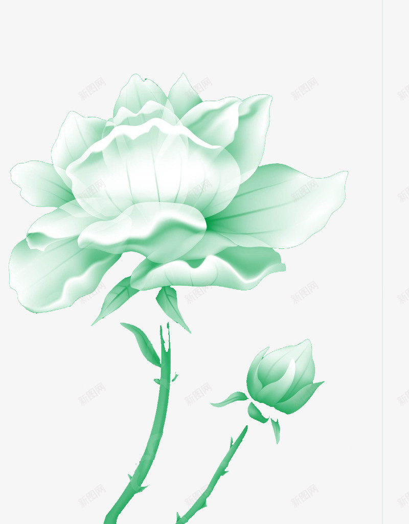 绿色唯美白色玫瑰花背景png免抠素材_88icon https://88icon.com 唯美 白玫瑰花瓣 白色玫瑰花 素材背景 绿色