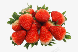 新鲜可口的有机大草莓素材