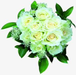 结婚婚礼白色玫瑰花捧花素材
