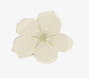 白色唯美小花花瓣素材