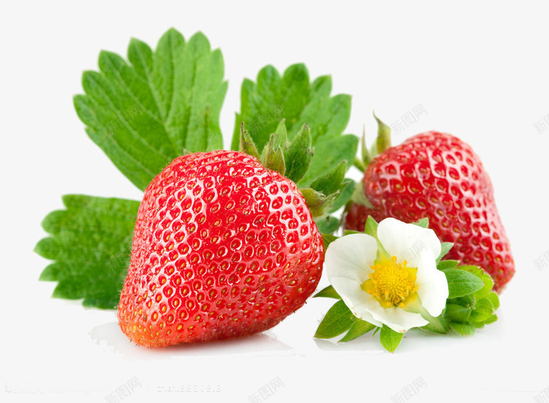 清新夏季新鲜草莓png免抠素材_88icon https://88icon.com 夏季 新鲜 清新 草莓
