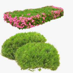 粉色小花绿色草丛素材