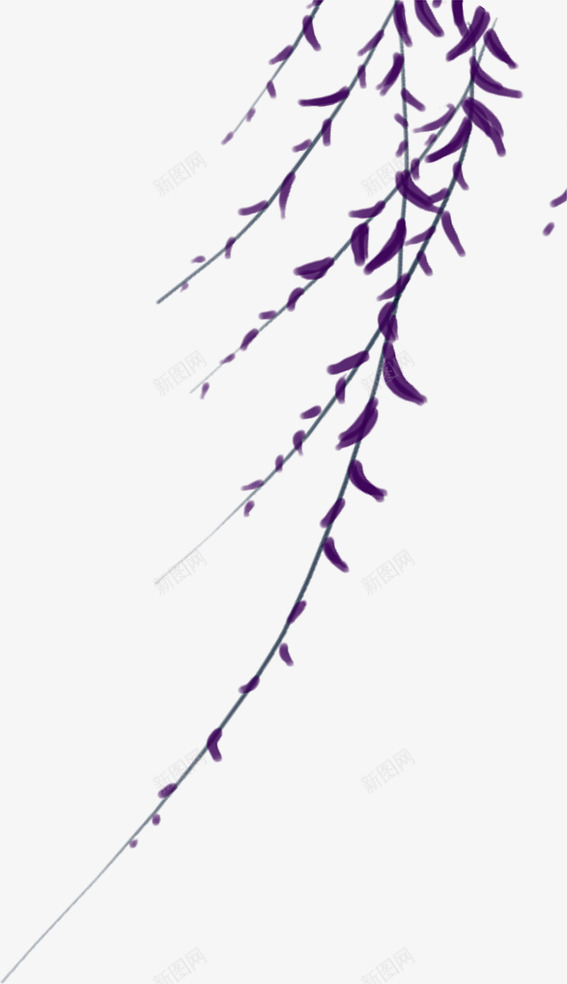 手绘的柳枝png免抠素材_88icon https://88icon.com png图形 png装饰 手绘 柳枝 植物 装饰