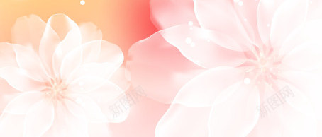 炫彩粉色花朵展架模板png_88icon https://88icon.com X展架设计 x展架 展架 海报素材 炫彩展架 炫彩粉色花朵