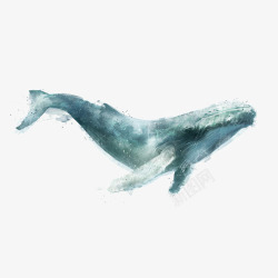 一只蓝色可爱的海洋生物座头鲸插素材