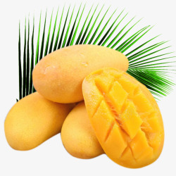 小台芒与绿叶素材