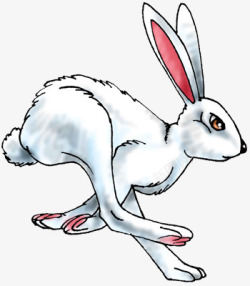 奔跑的兔子素材
