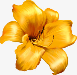 手绘金色花朵花瓣素材