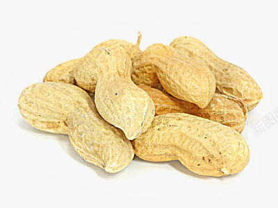 美味的花生食物png免抠素材_88icon https://88icon.com 图片素材 干果 美味的花生食物高清图片 花生 花生仁 花生图片 花生摄影 花生米 零食 餐饮美食
