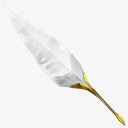 古董羽毛羽毛笔写写作oldscpng免抠素材_88icon https://88icon.com antique feather quill write writing 写 写作 古董 羽毛 羽毛笔