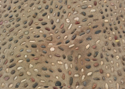 鹅卵石路彩色鹅卵石高清图片
