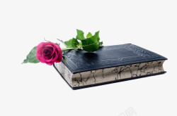 一本书本一本书和一朵花高清图片