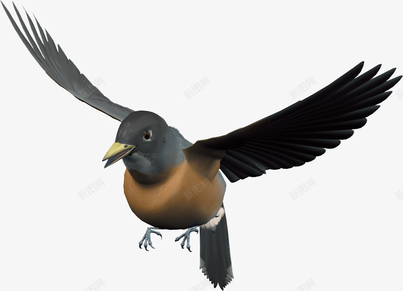 飞翔的鸟png免抠素材_88icon https://88icon.com 一只 卡通 小鸟 手绘 棕色 棕色鸟类 灰色 简图 羽毛