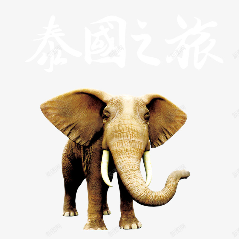 泰国之旅png免抠素材_88icon https://88icon.com 动物 大象 旅游 泰国