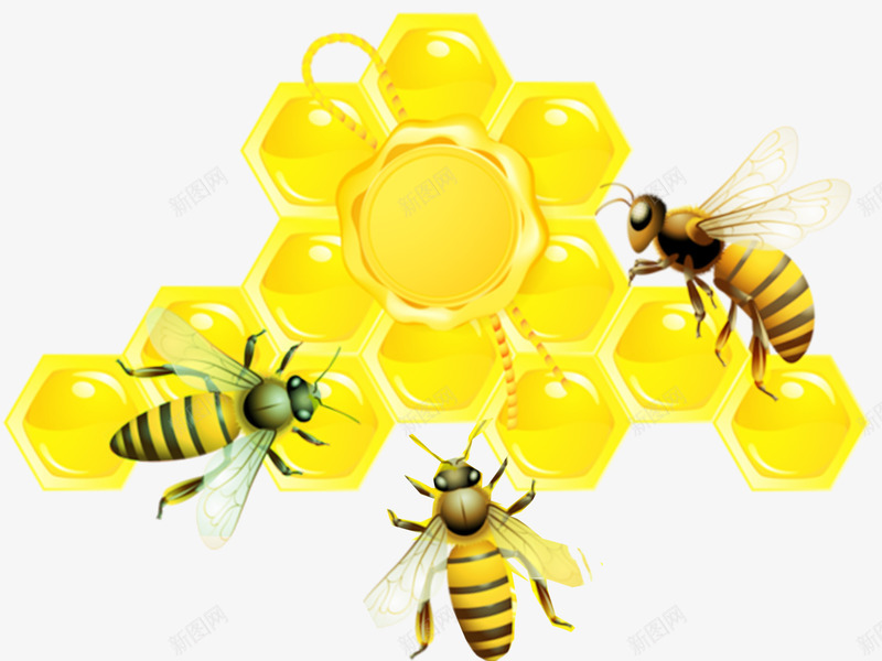 手绘蜜蜂和蜂王浆png免抠素材_88icon https://88icon.com 可爱的蜜蜂 手绘 蜂王浆 金色