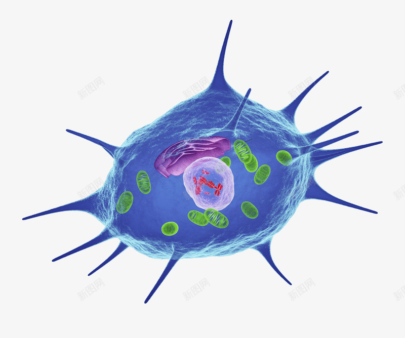 微生物细胞立体插画png免抠素材_88icon https://88icon.com 3D 医疗 微生物细胞立体插画 生物学 研究 细胞 蓝色 骨头