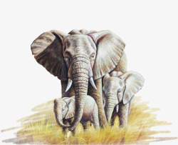 油画大象一家素材