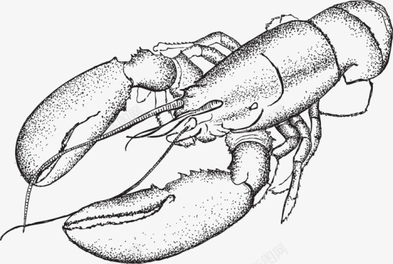 海鲜虾丸素描灰色龙虾图标图标