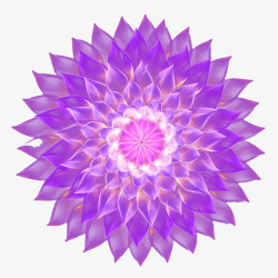 花朵顶视图梦幻紫花绽开的花朵顶视图高清图片