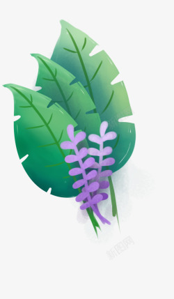 清新叶子紫色小花素材