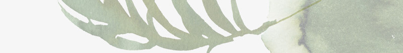 手绘不规则图形边框png免抠素材_88icon https://88icon.com 创意 卡通手绘 叶子 植物 水墨 水彩 绿叶 装饰 边框
