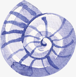 紫色的海螺蓝紫色手绘海螺矢量图高清图片