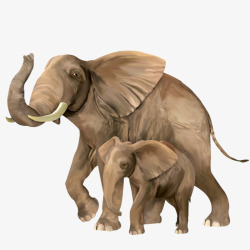 手绘大象母子俩素材