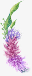 紫色薰衣草装饰素材