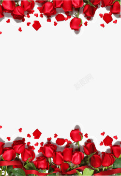 红色情人节玫瑰花素材