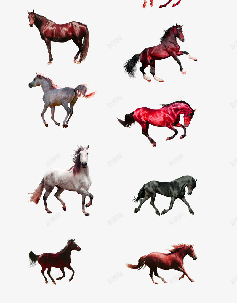 褐色大气骏马装饰图案png免抠素材_88icon https://88icon.com 免抠PNG 大气 装饰图案 褐色 骏马