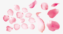 化妆品粉色玫瑰花瓣素材